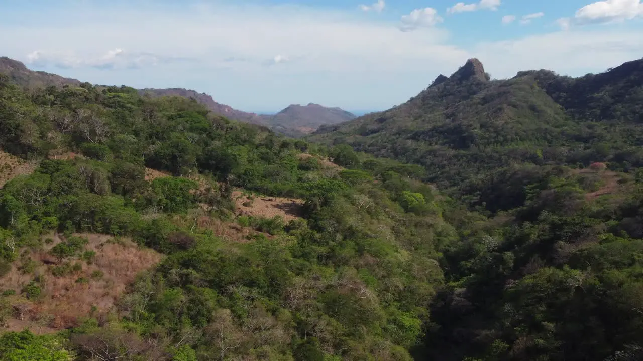 Nature landscape aerial flies slowly up green tropical mountain valley