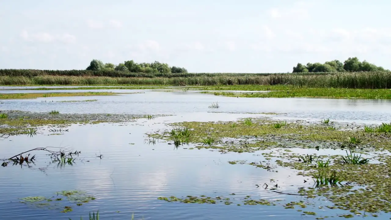 Traveling over the of Danube Delta wide