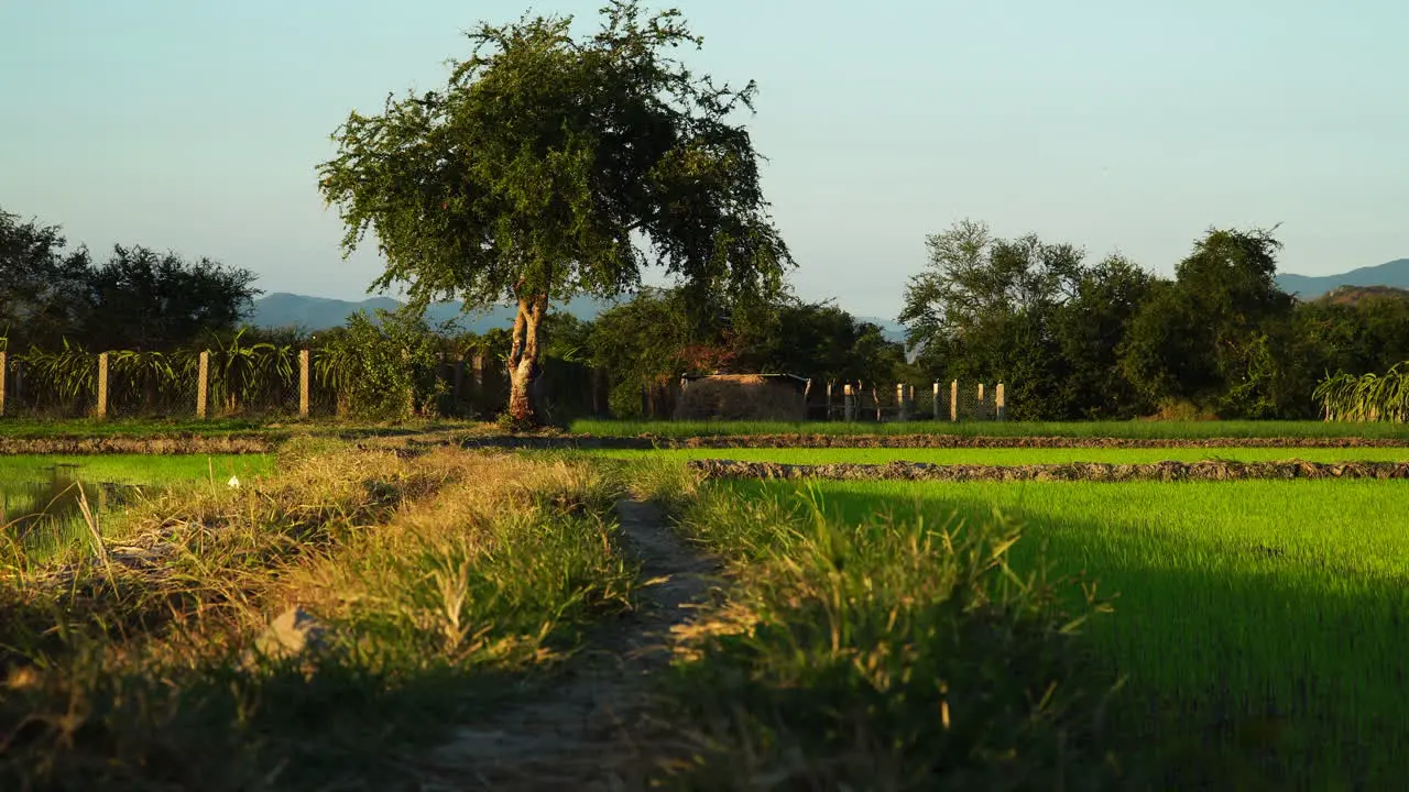 Low angle view of rural landscape showing countryside road amidst green fields