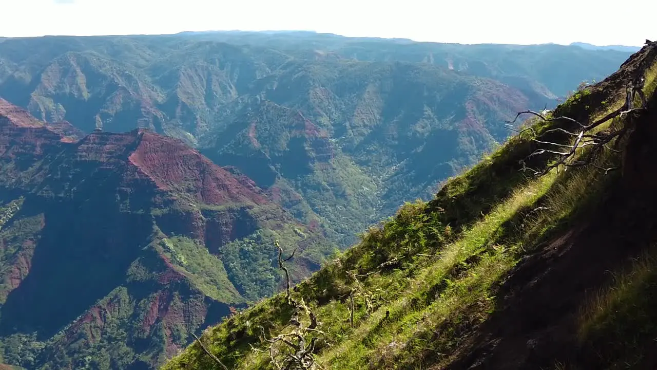 HD Hawaii Kauai slow motion pan right to left from shadowed grassy hillside along Waimea Canyon landing on a waterfall in the canyon in distance