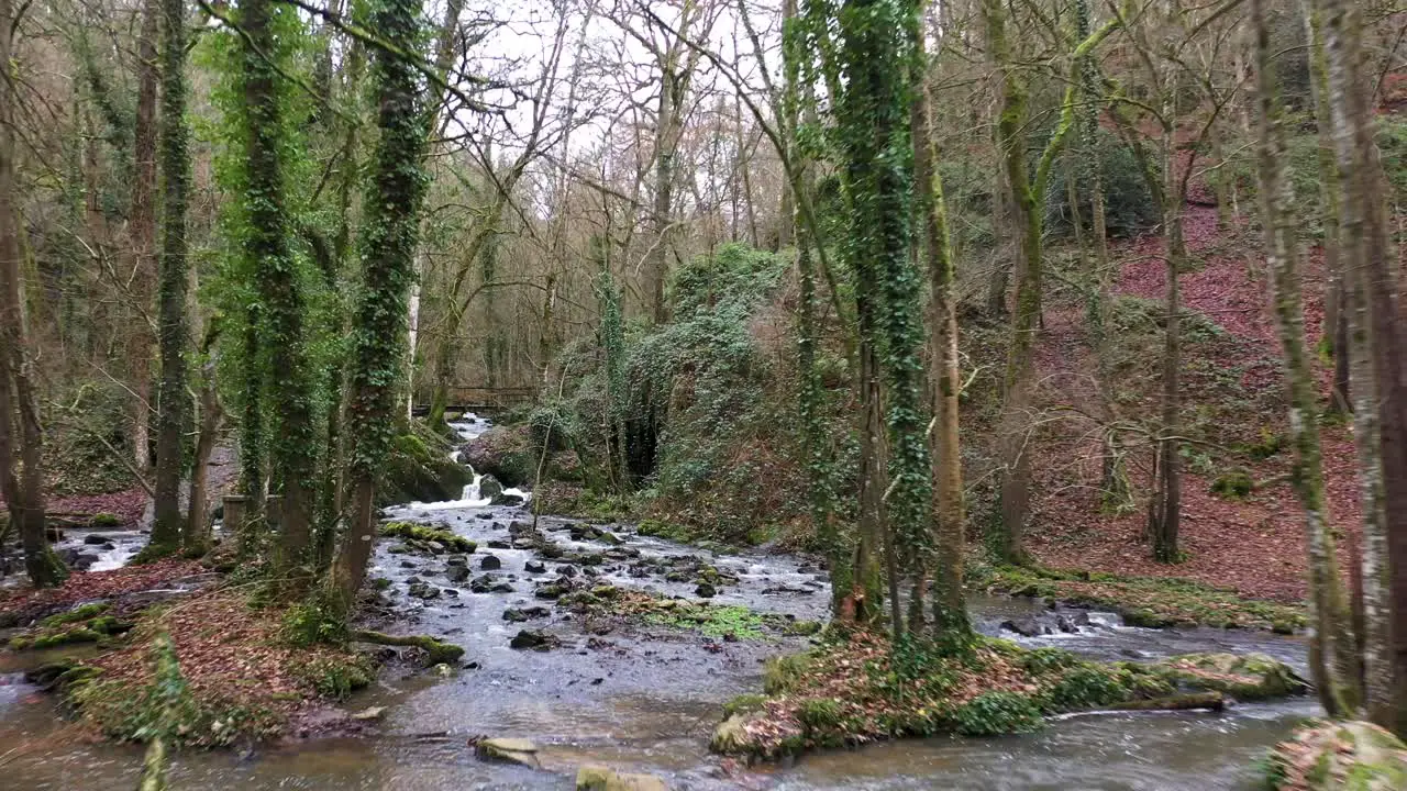 Flying shot over a waterfall in a forest in Normandie