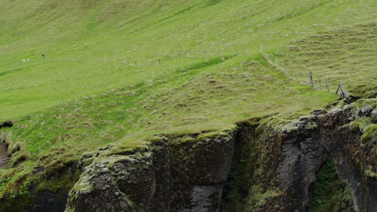 Lush green grazing pasture leads to perilous drop over cliff edges in Fjadrargliufurs dramatic landscapes in Iceland