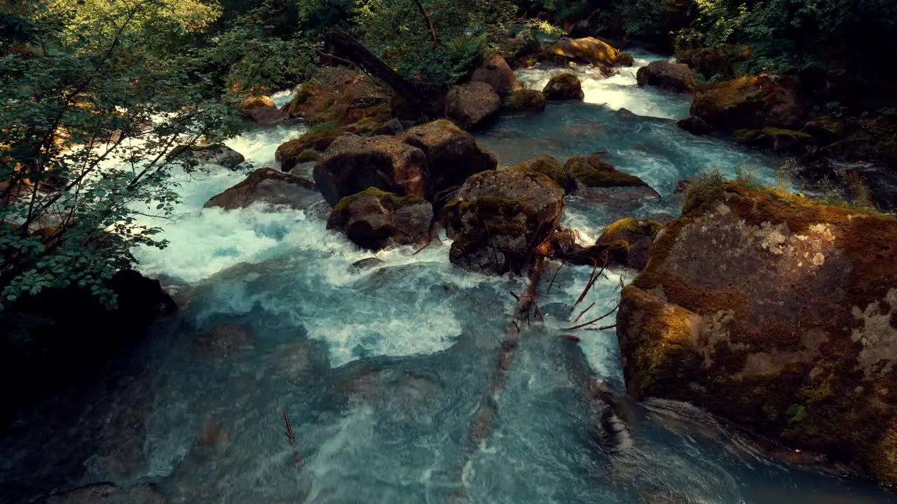 Top view of river flowing in the forest