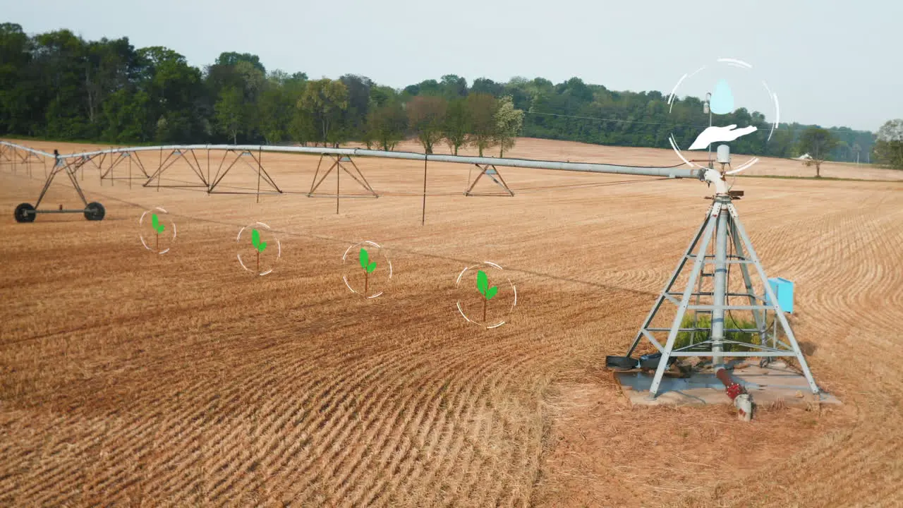 Seedlings in field receive water irrigation