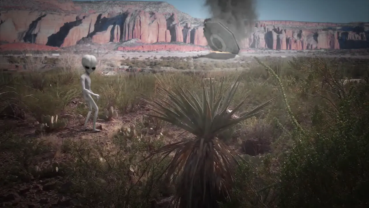 VFX shot of a classic Roswell style flying saucer crashed in flames in the New Mexico desert in the background with a classic little grey alien watching on in desaturated color scheme