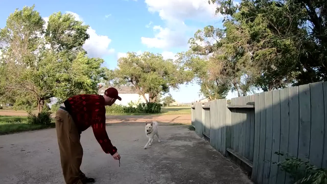 SLOW MOTION Man training a white husky dog to jump and catch an object