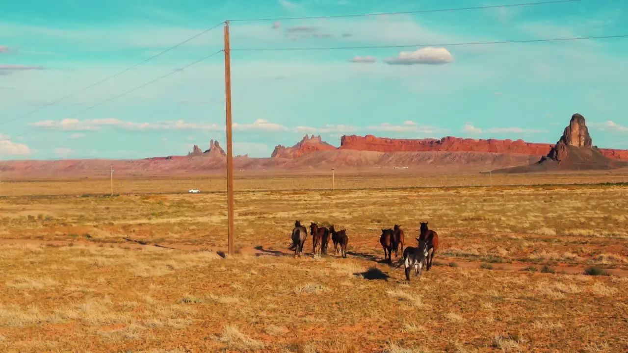 Drone view of wild horses running in Arizona's wildlands