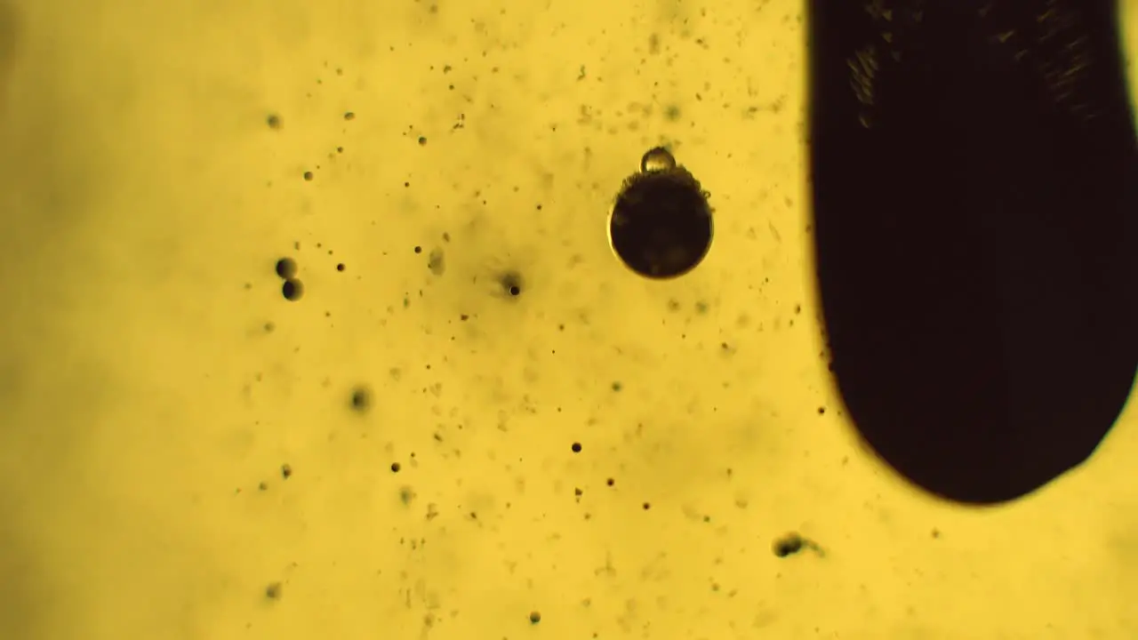 Dark slime bubbling in a creepy way in yellow liquid science experiment outbreak dramatic close up