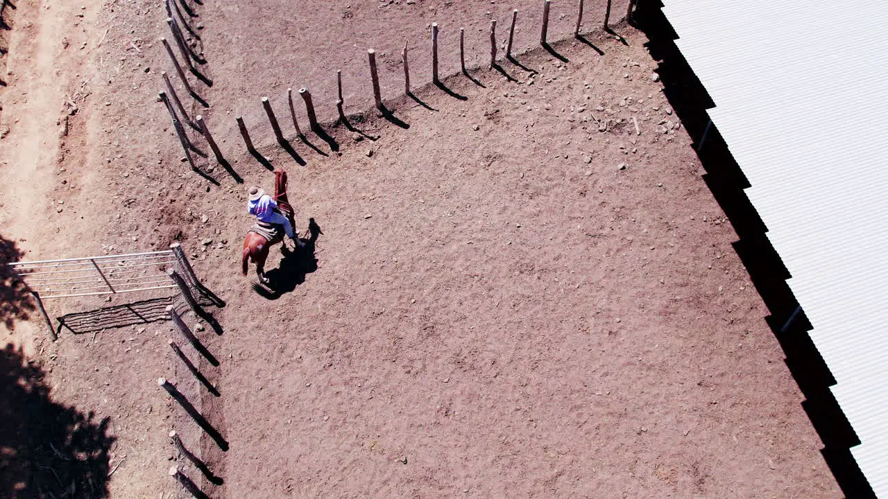 Cowboy on horseback waiting in cattle pen for cattle aerial view