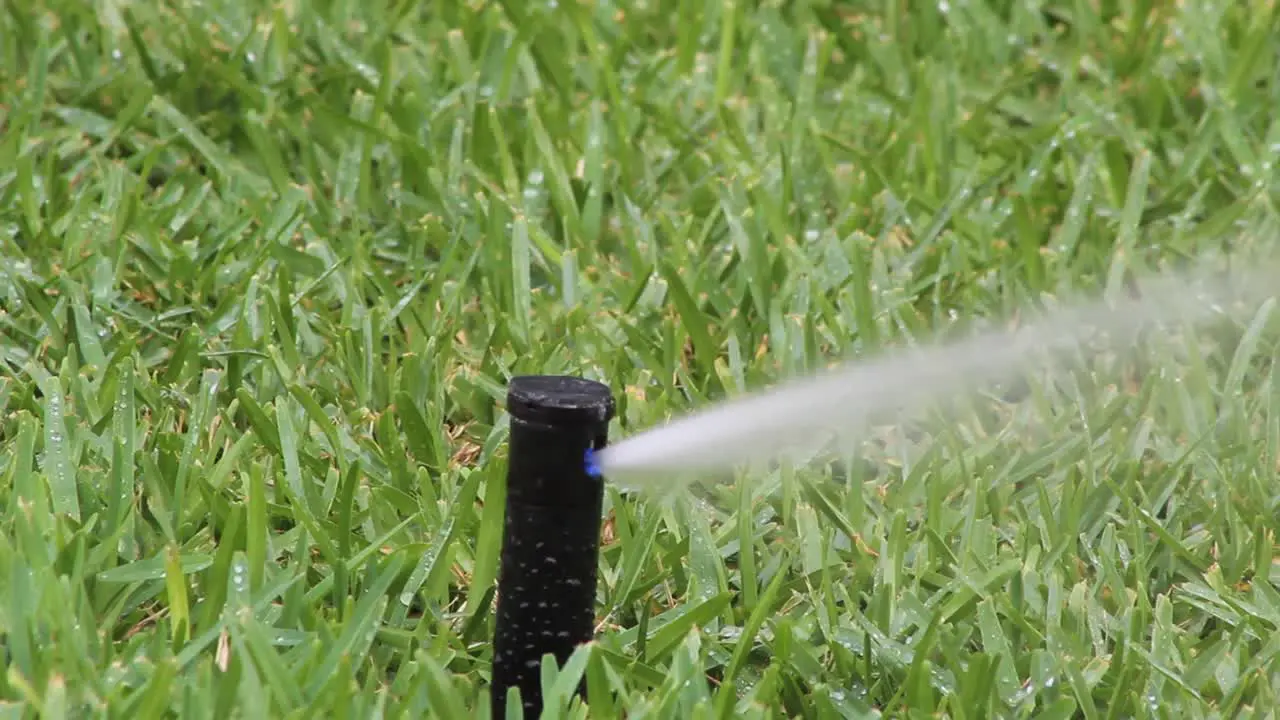 Grass sprinkler moving and throwing water