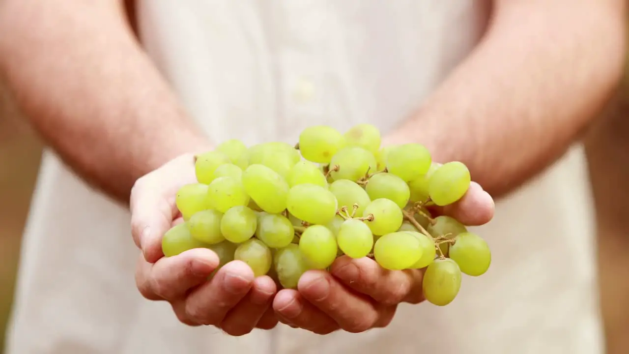 Smiling winegrower presenting green grapes