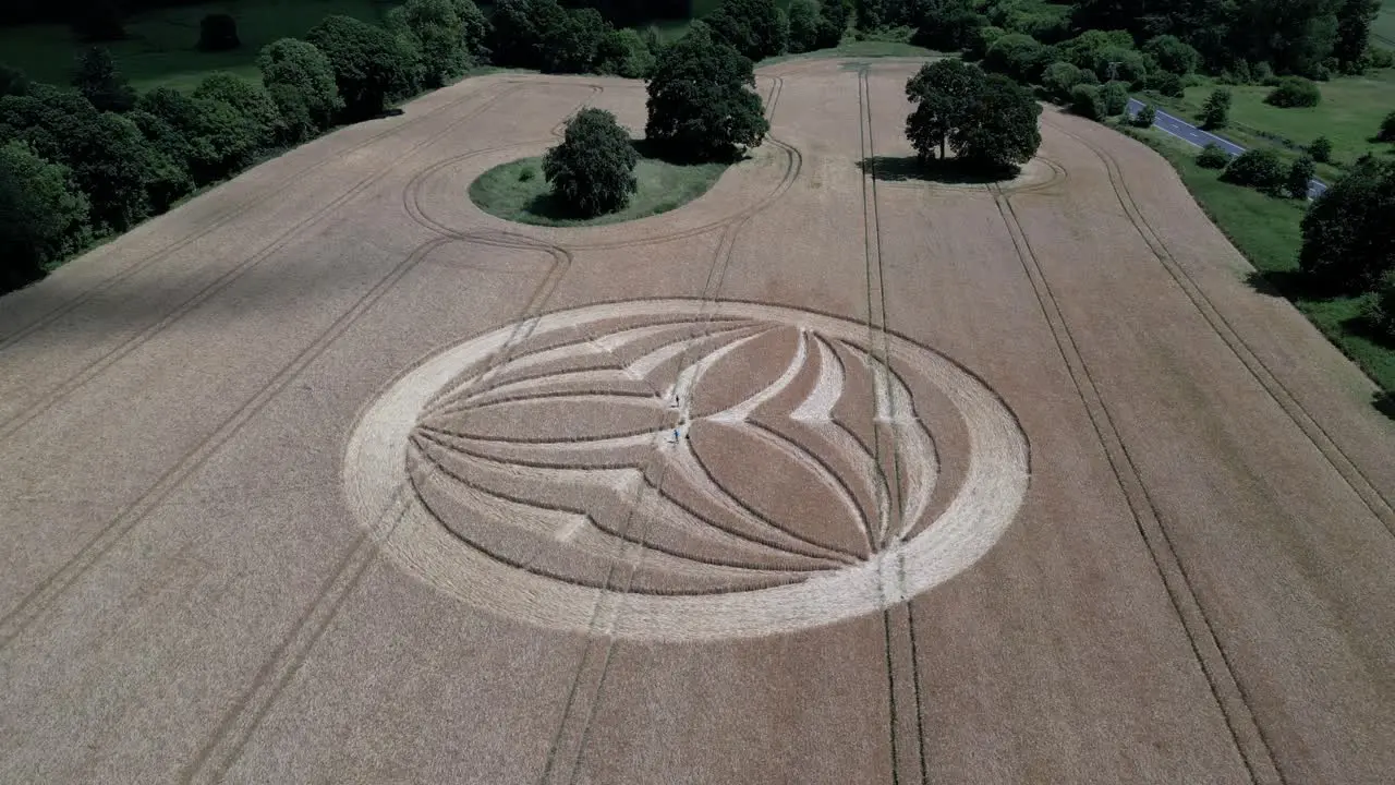 Aerial view orbiting Warminster crops circle 2023 symmetrical paranormal pattern on farmland in England