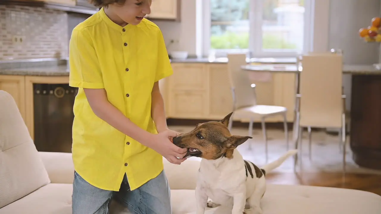 Blond Boy With Curly Hair Kneeling On The Couch While Playing With His Dog