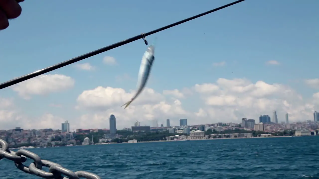 Young Fisher Man Fishing Bosphorus Istanbul 3