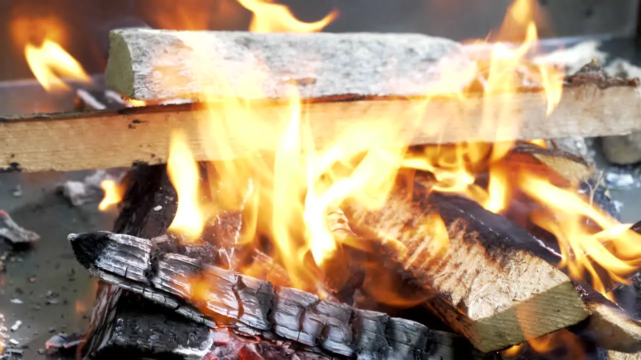 Burning wood in the fire close up view