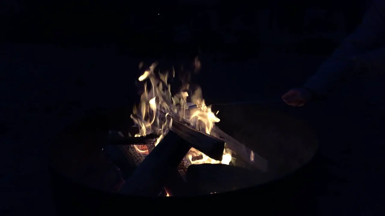 Roasting marshmallows over bonfire