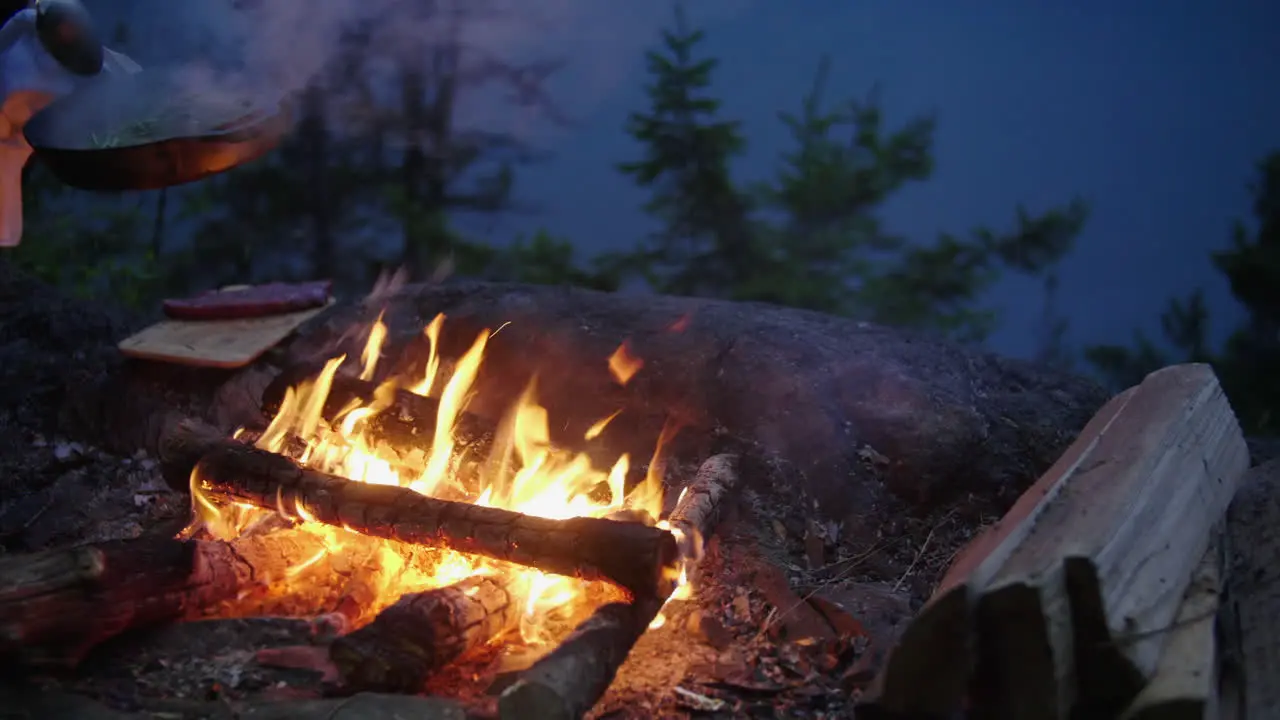 Person cooking a meal in cast iron skillet over an open fire outdoors at night