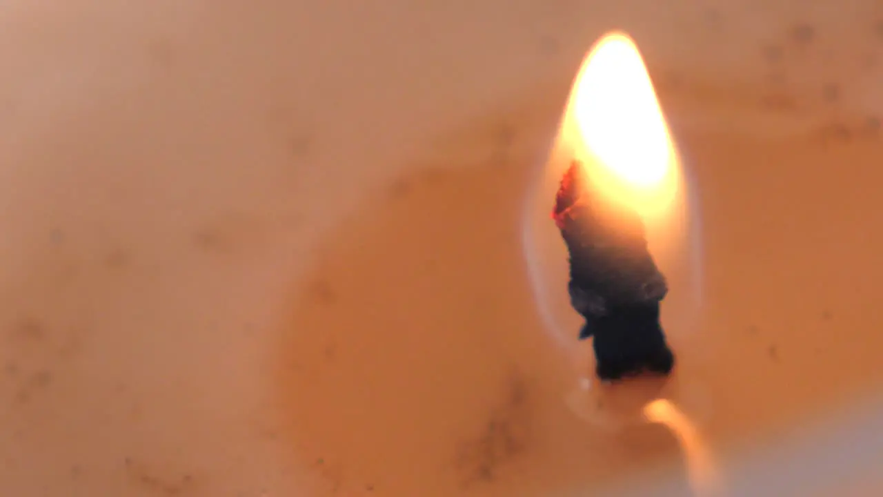 Slow motion macro footage of orange candle flame burning and flickering surrounded by soy wax