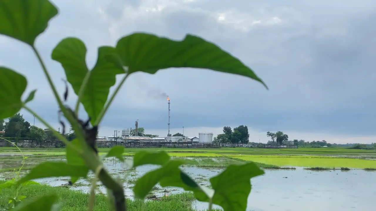  Kailashtilla Gas Field Plant Seen Burning Orange Flame In Background