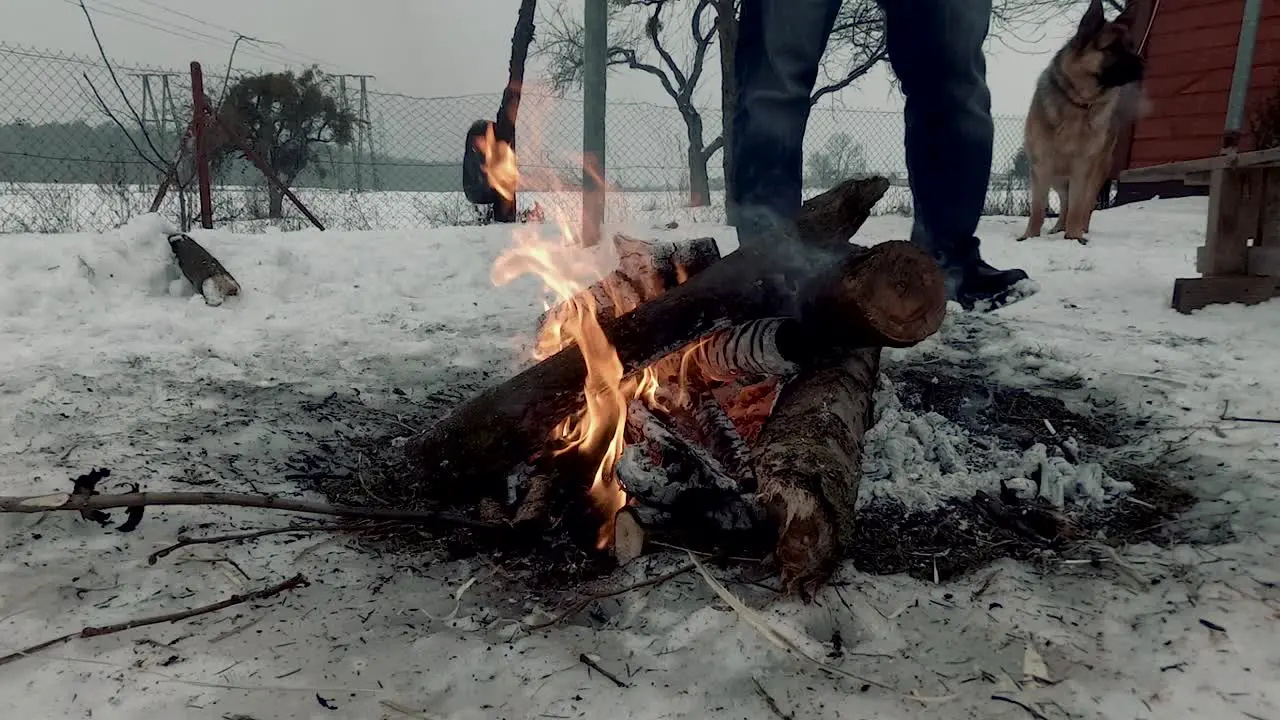 Bonfire in winter near the house man with a dog