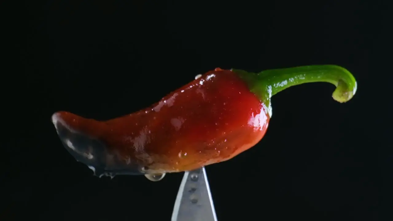 Close Up Rotating Shot of a Burned or Well Cooked Red Chili Pepper on the Tip of a Knife