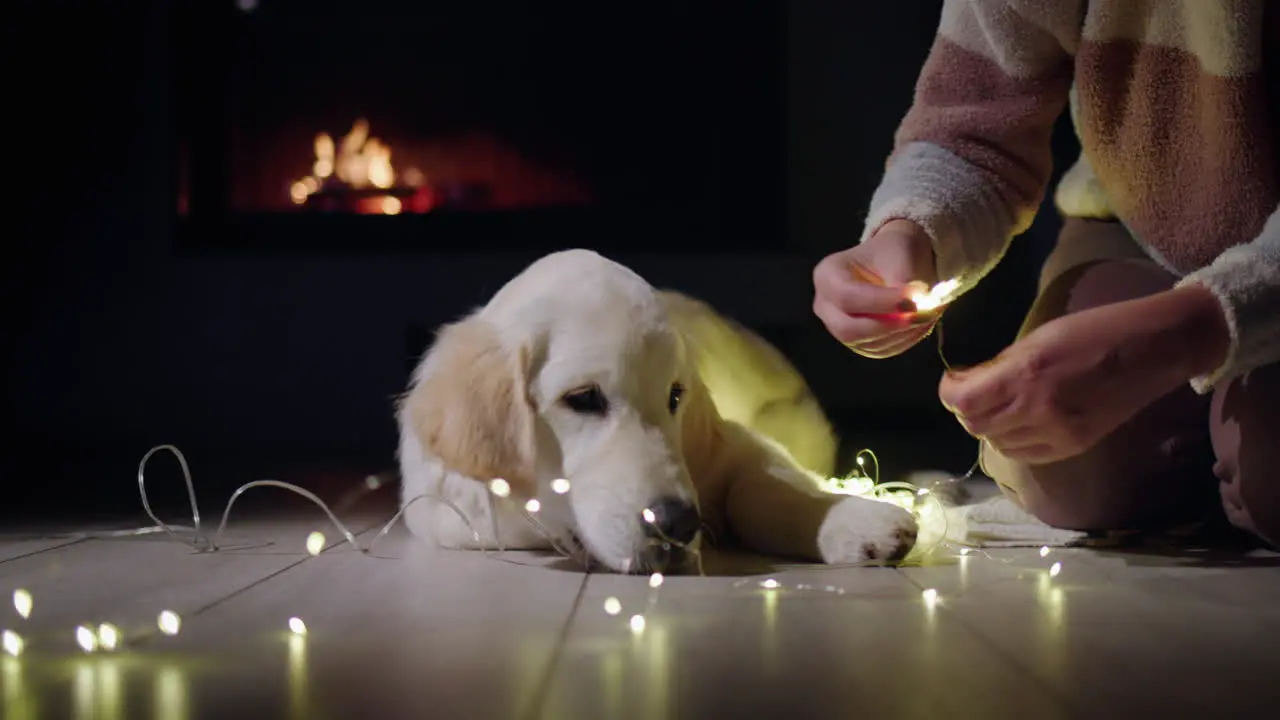 A woman is preparing to decorate her house with garlands her dog lies next to her A fireplace is burning in the background Christmas Eve