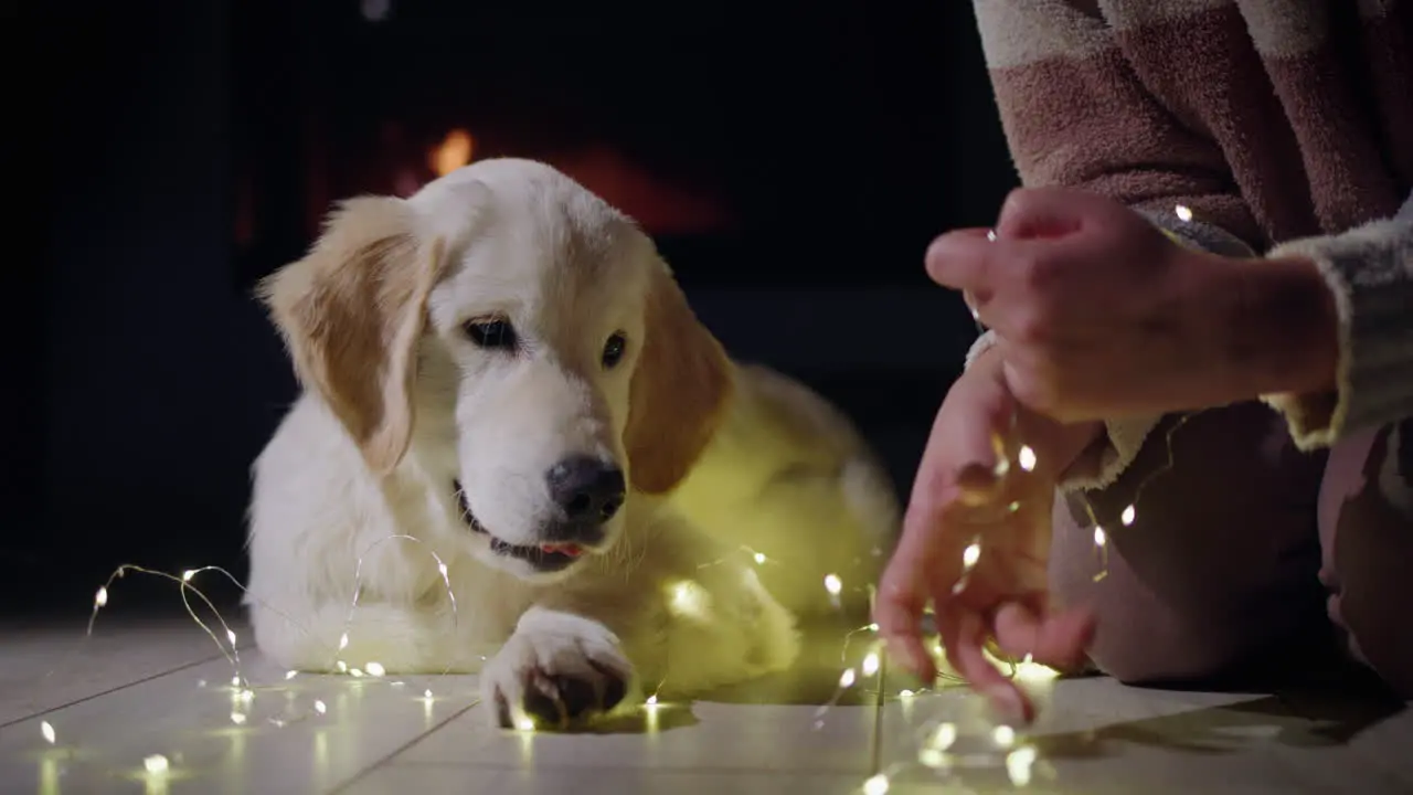 Pet owner is preparing to decorate her house with garlands her dog lies next to her A fireplace is burning in the background Christmas Eve