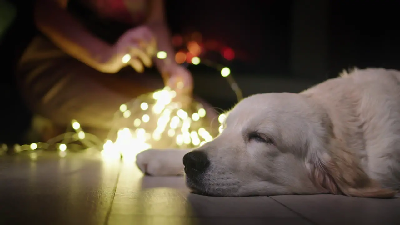 Pet owner is unraveling a festive garland and a dog is breathing near her In the background there is a fire burning in the fireplace Christmas Eve