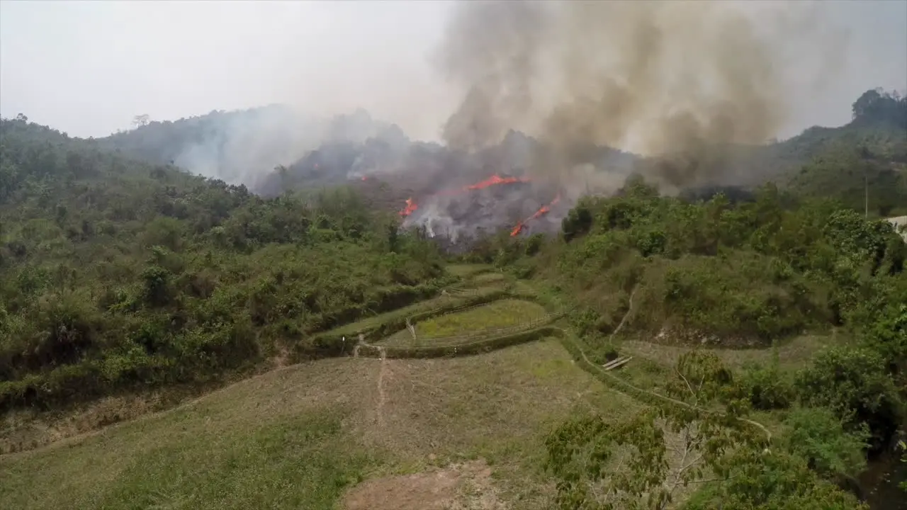 An excellent aerial over a jungle scene with a wildfire burning