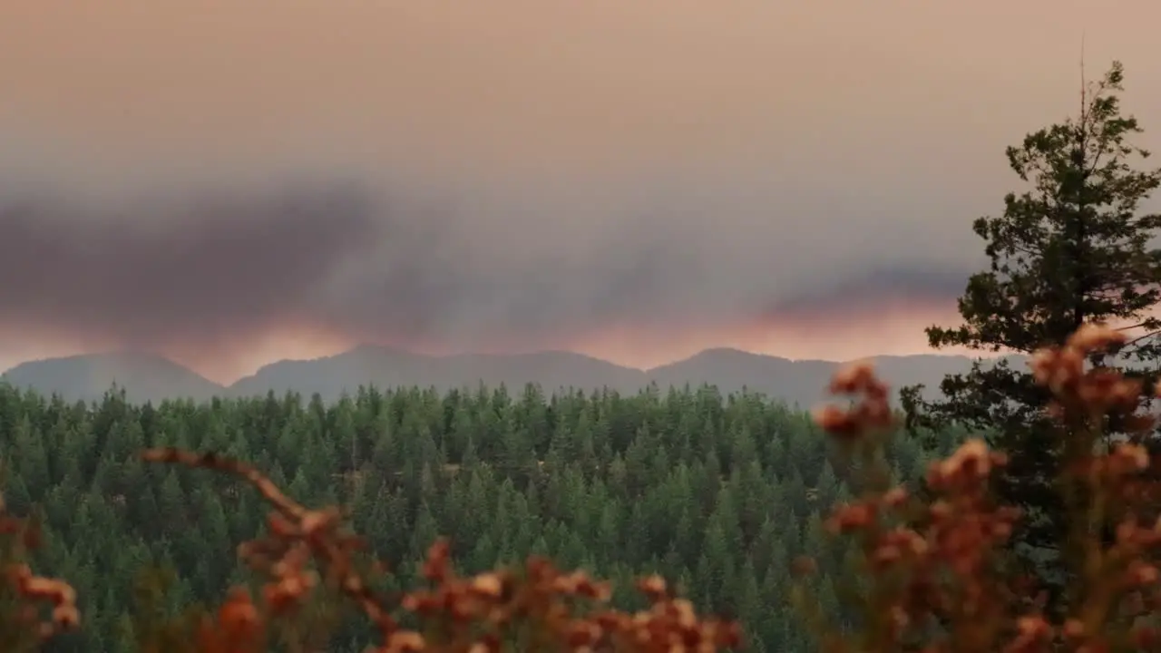 Pan of wildfire smoke blowing across the wilderness forest sky