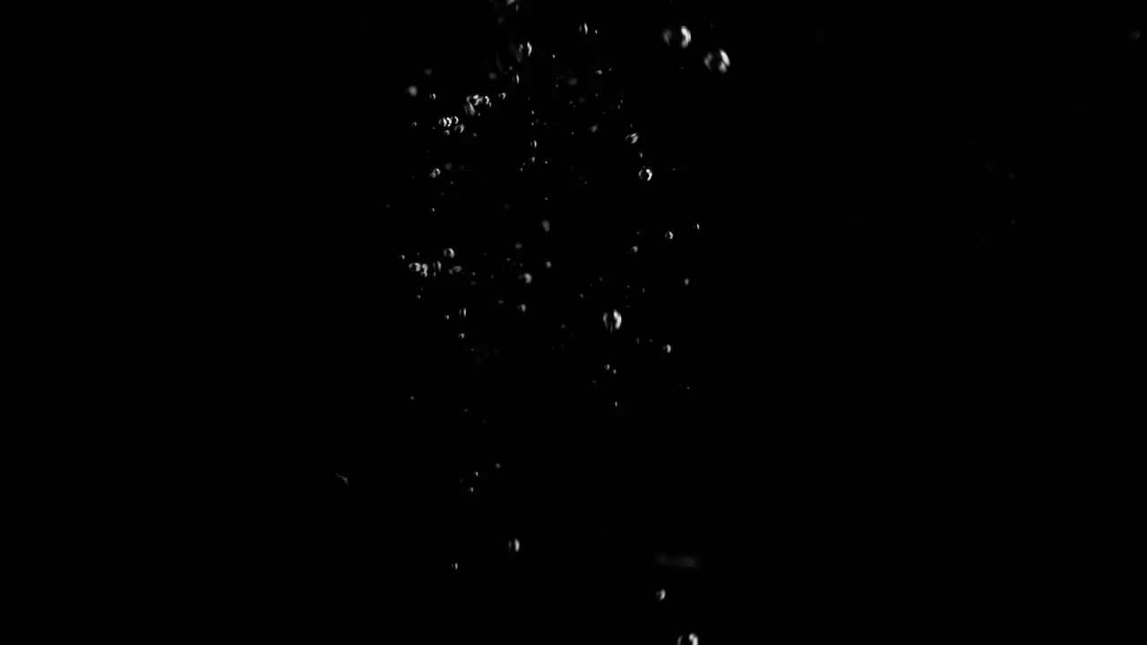 Lemon Slice Falling into Water Super Slowmotion Black Background lots of Air Bubbles 4k240fps