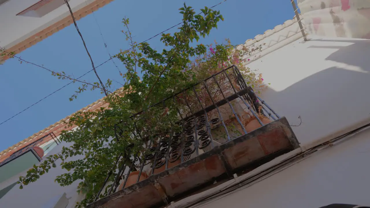 balcony with plants in villa mediterranea