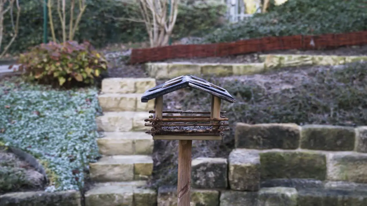 Birdhouse standing on a stick in a garden