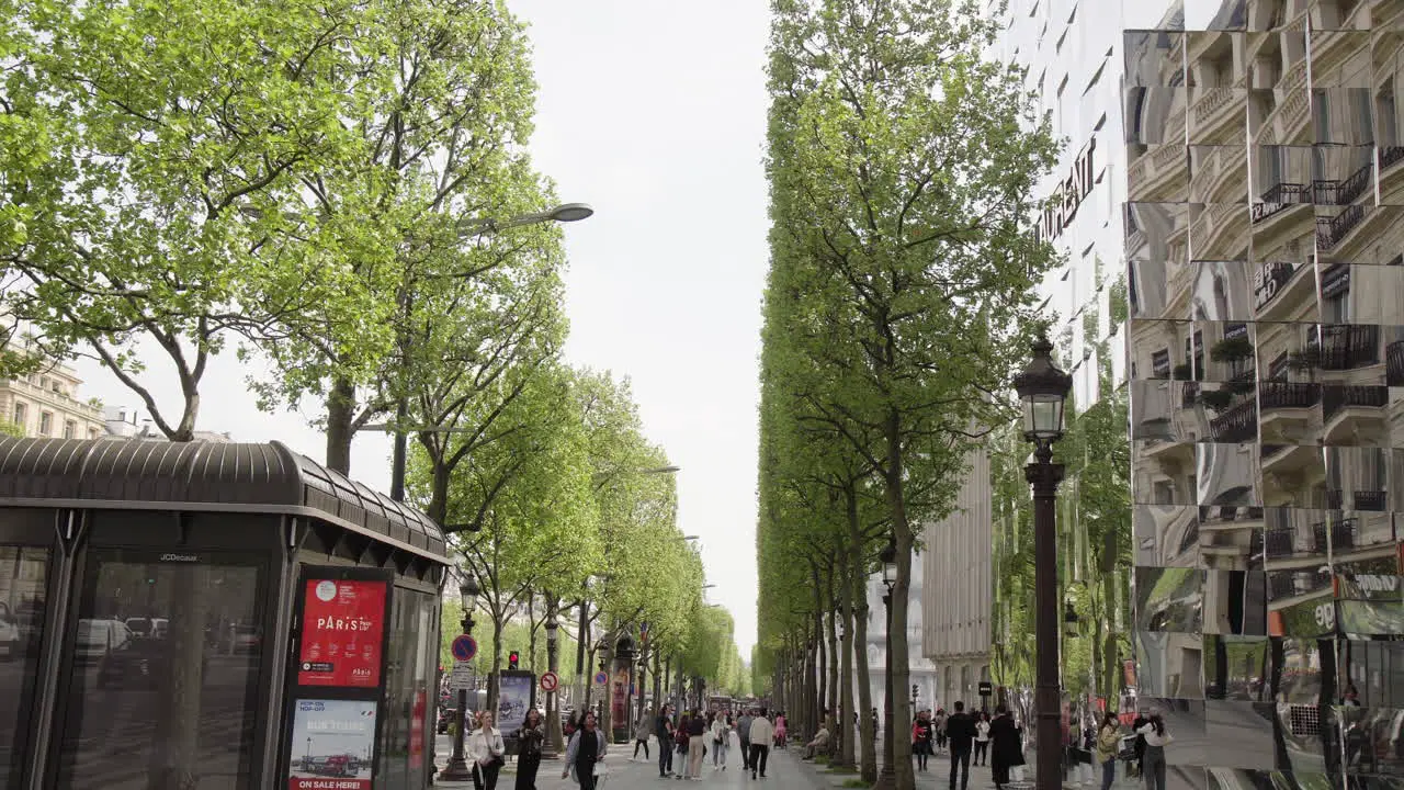 Paris Cityscape