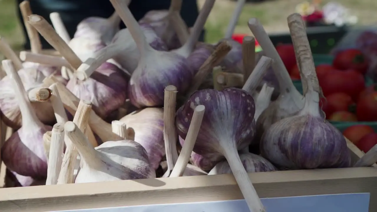 Garlic at local Farmers Market