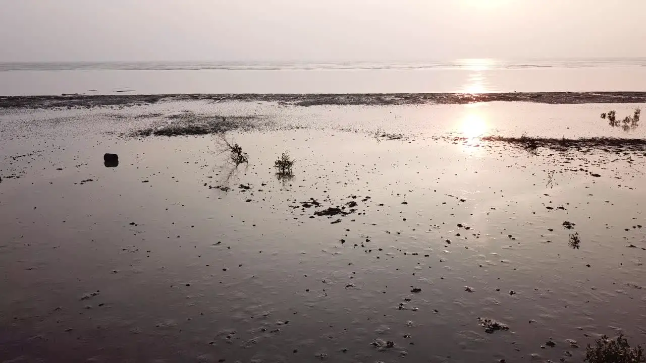 Sliding over low tide mangrove tree during sunset at Kuala Muda Kedah