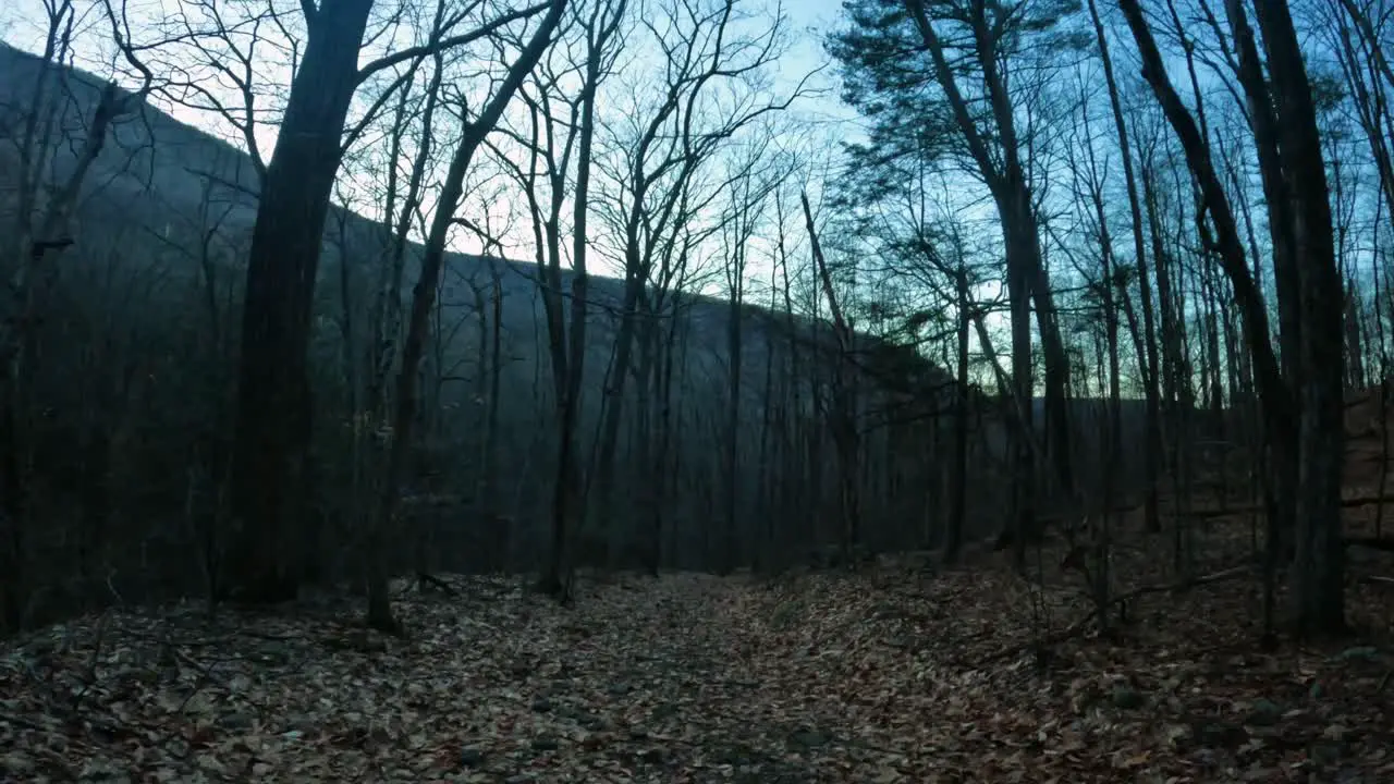 A walking time lapse through the Appalachian Mountains during early spring