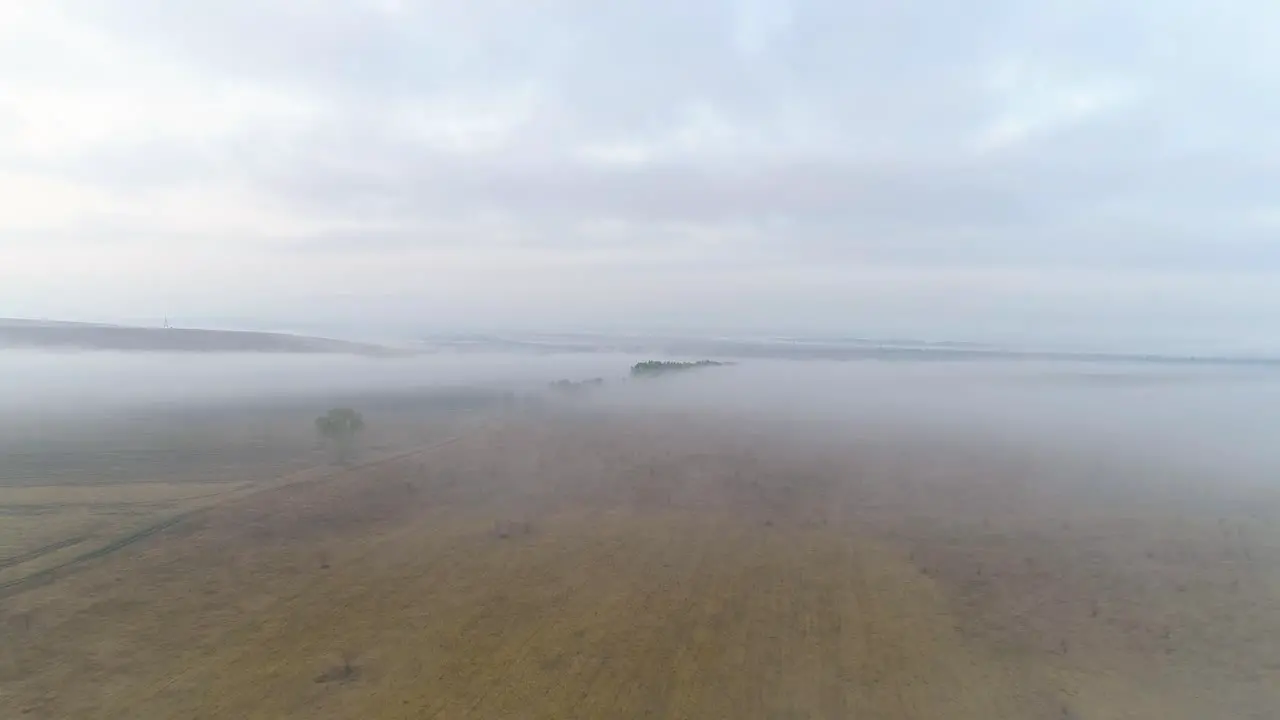 Flying Over Foggy Fields