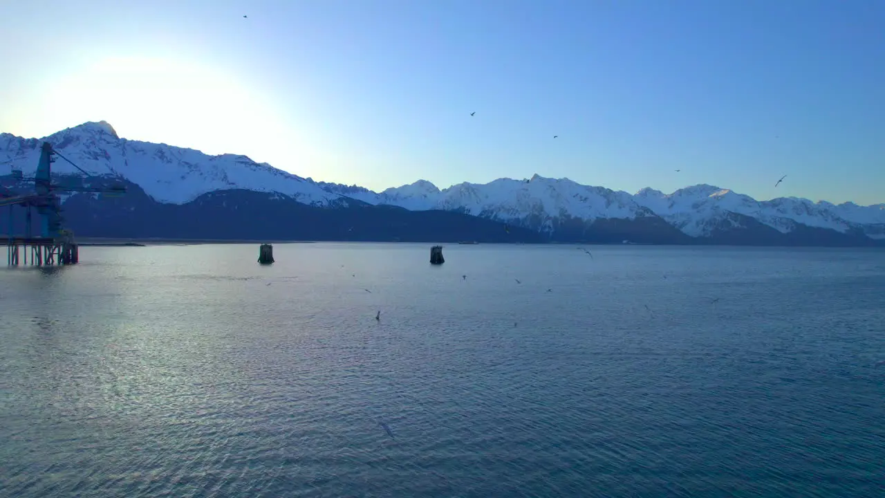 Seward Alaska mountains at sunrise with sea birds