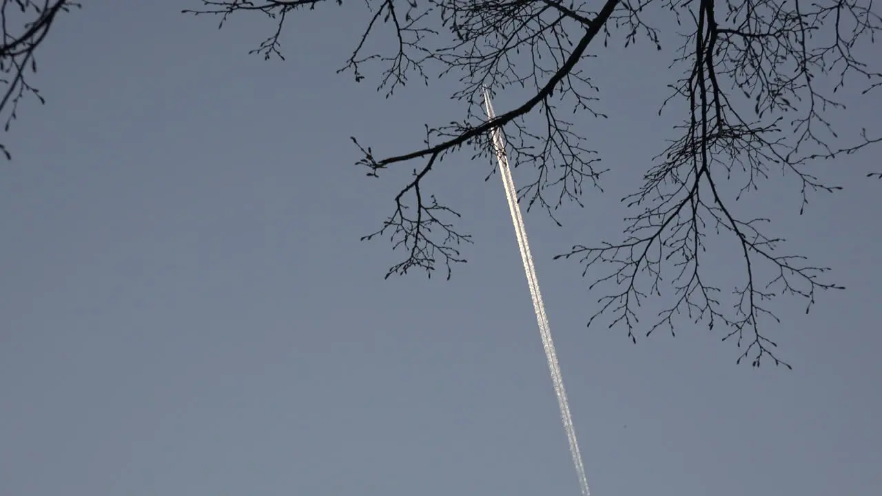 Jet Contrail And Spring Branches