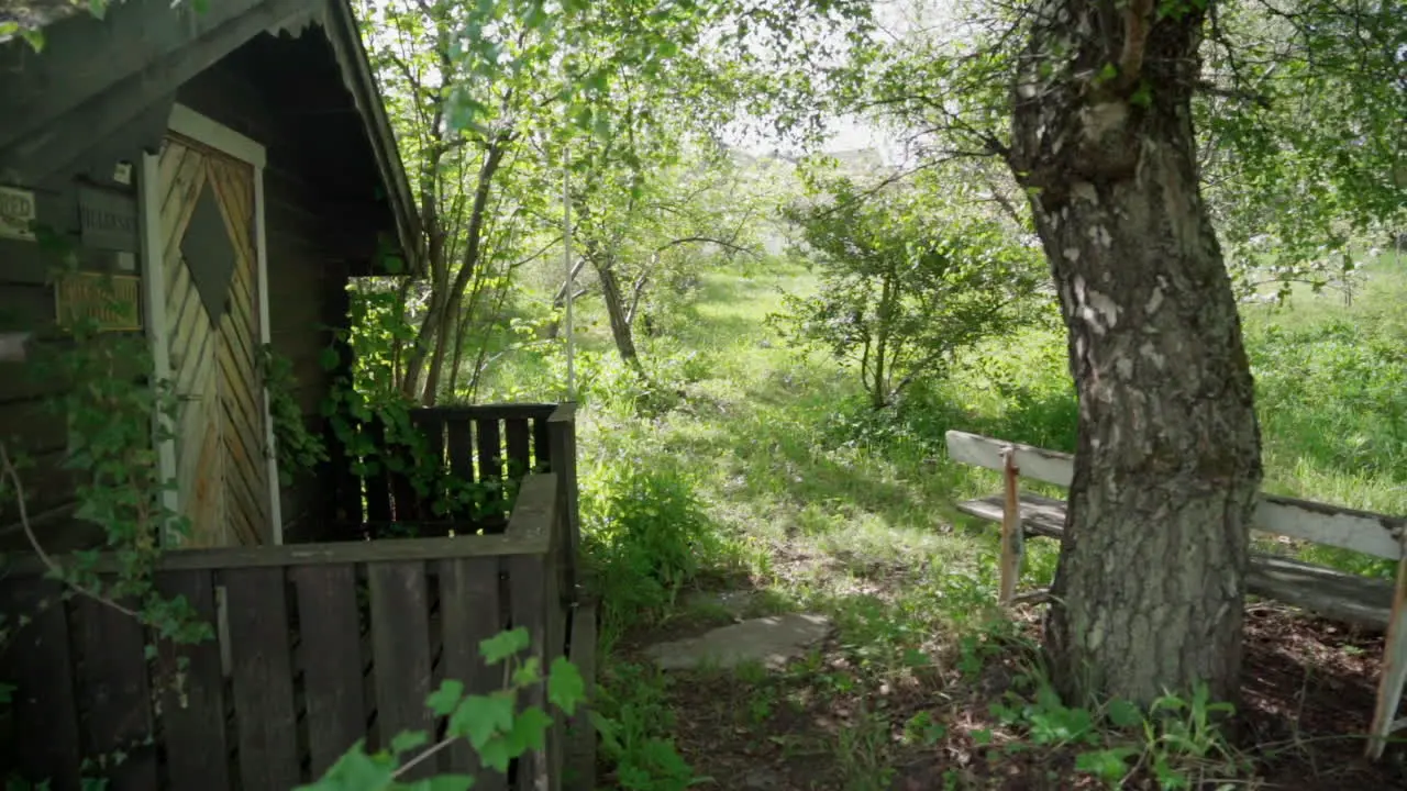 Old rustic overgrown hut in nature