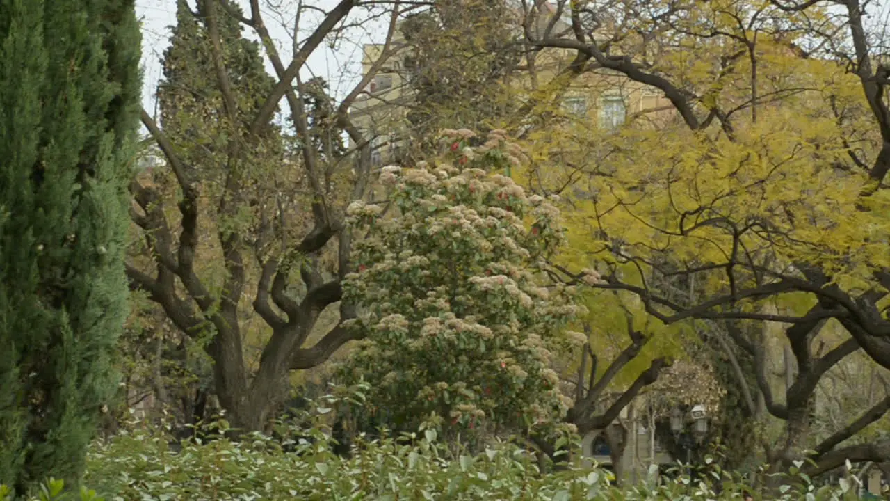 Barcelona streets parks at spring