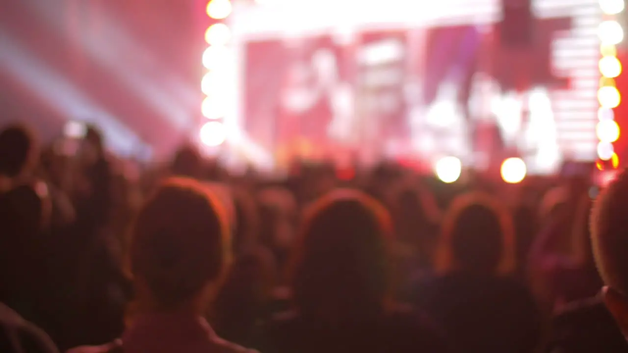 People standing back on the night pop concert