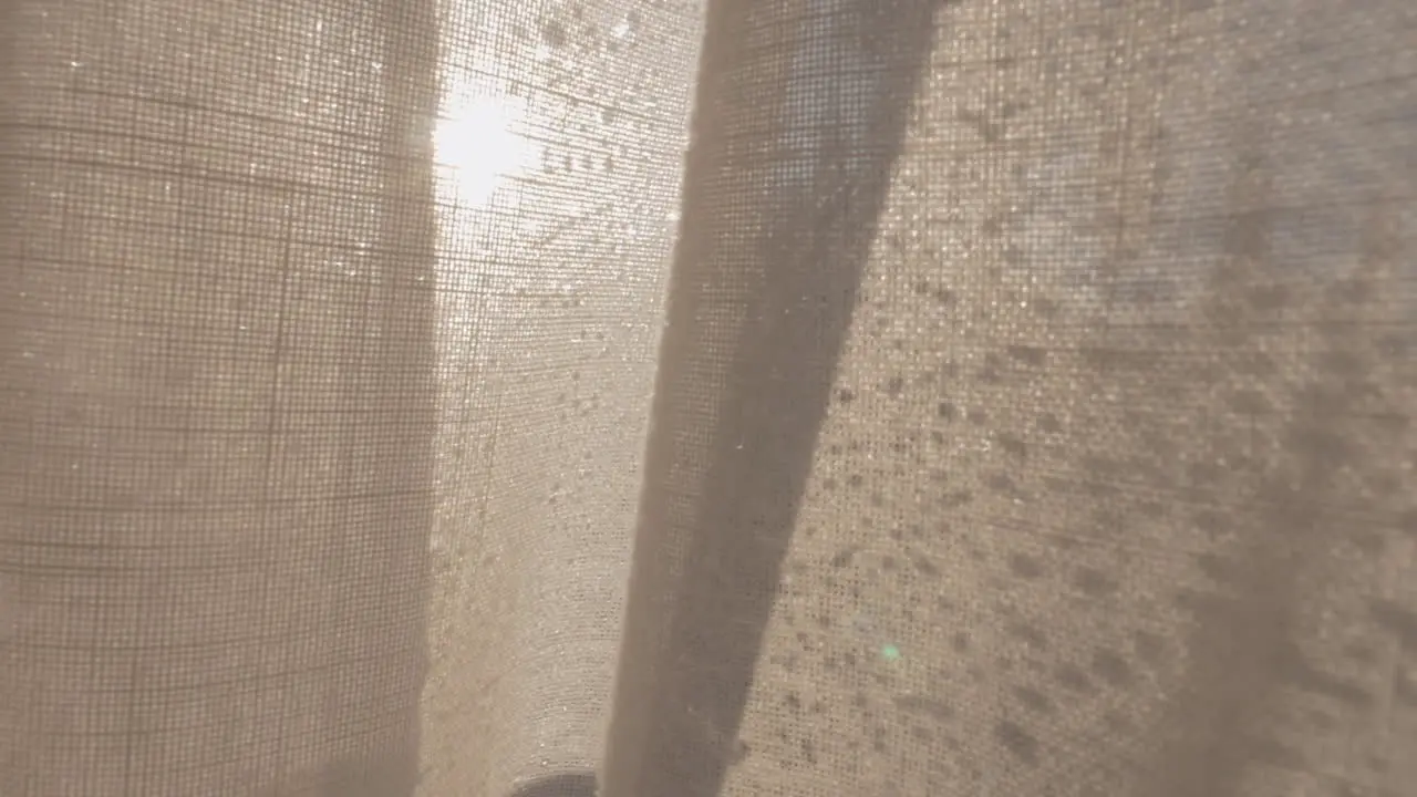 Window with morning condensation and light curtain