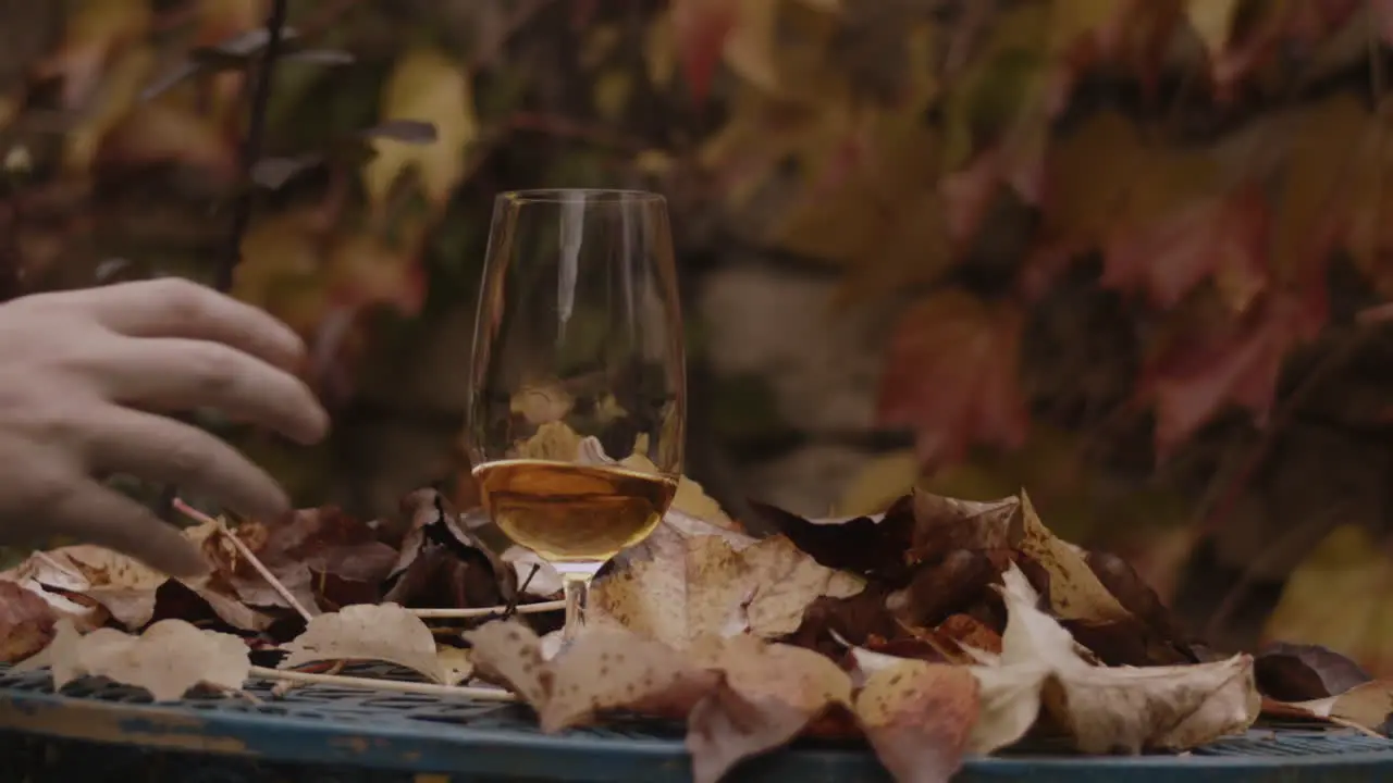 Man places glass of swirling beer on table of autumn leaves