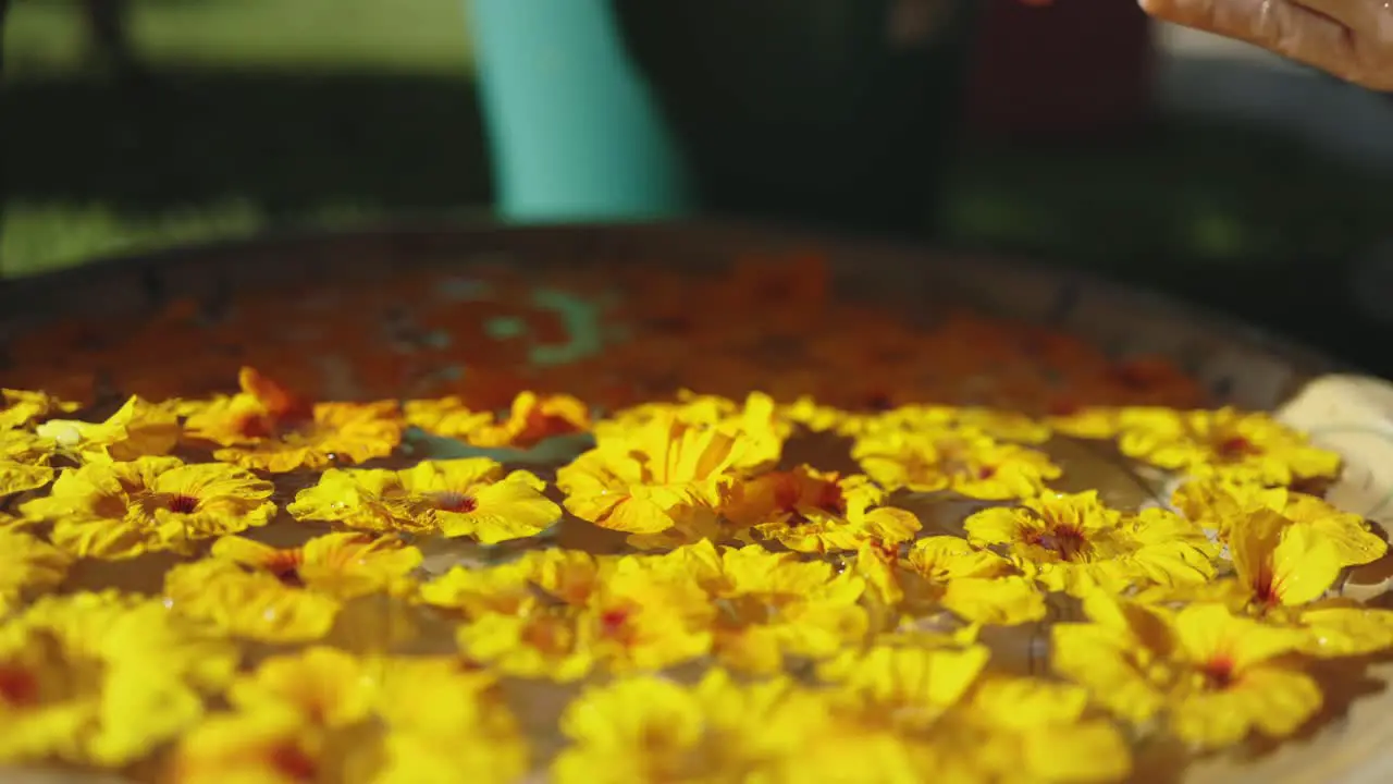 Close up lady picking yellow flowers and petals in slow motion