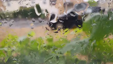 Looking Out Of Window Through Rain To Urban Residential Street