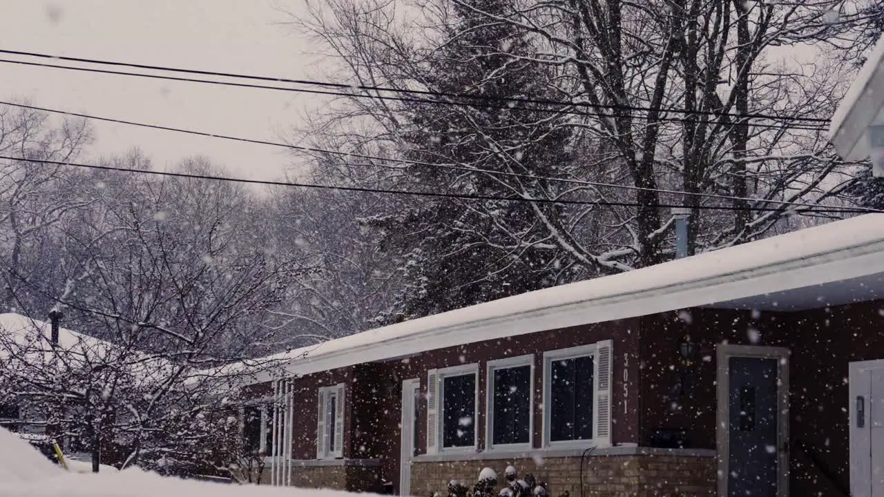 January Snow fall in early year