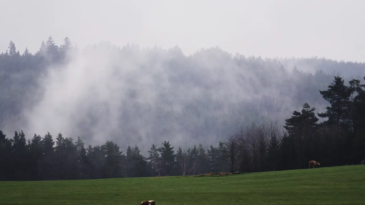 Timelapse of evaporating fog from forests in the hilly landscape below the mountains