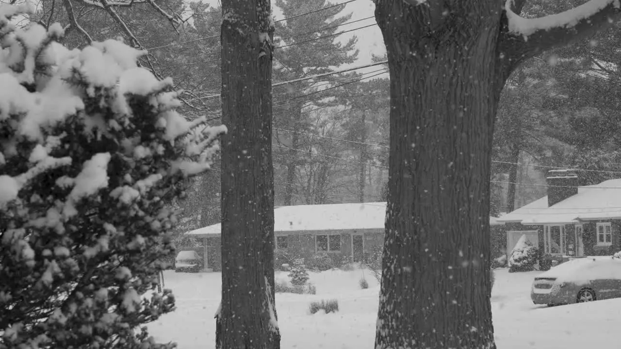 January snow flakes falling heavy across a suburban area